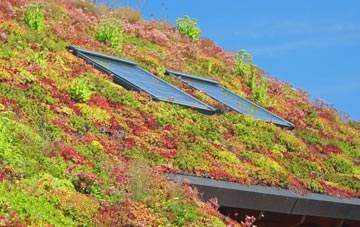 Ewerby living roof systems