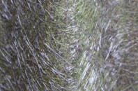 Ewerby fibreglass roof work